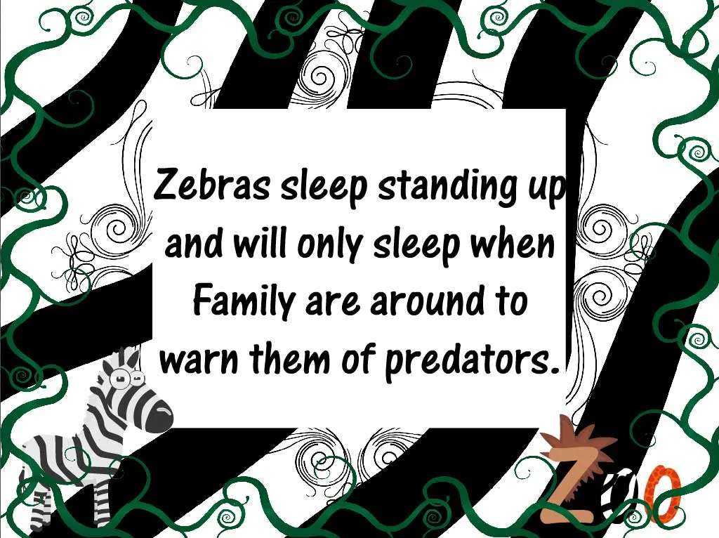 Screenshot of zebra fact